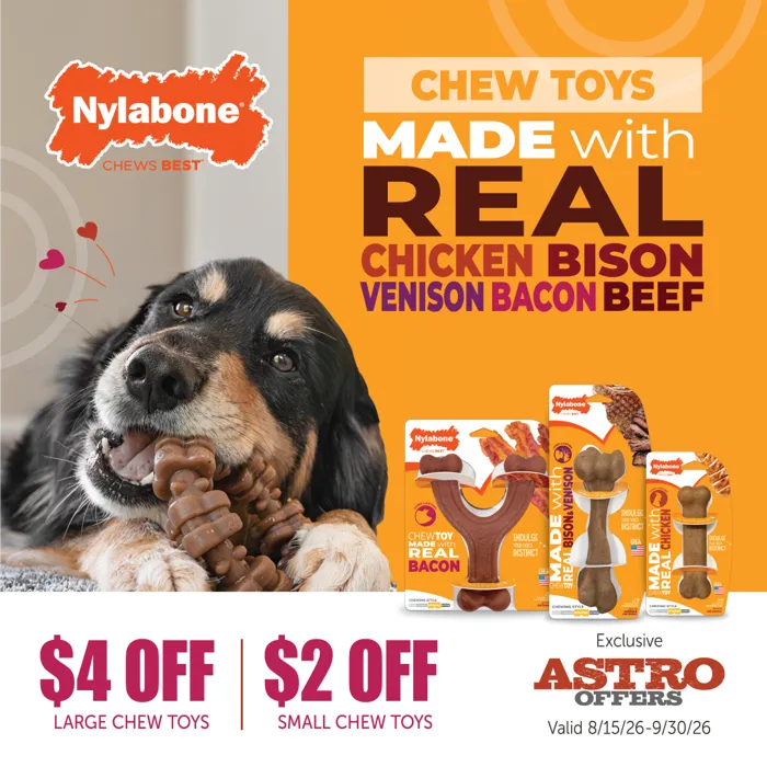 Promotion Image